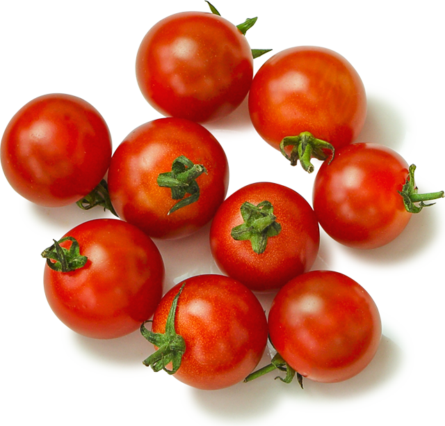 tomato